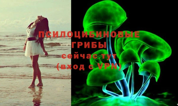 не бодяженный Абдулино