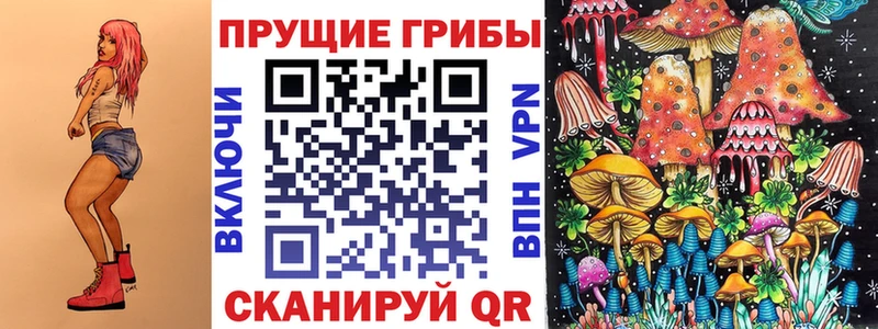 купить наркотики цена  Холм  Псилоцибиновые грибы MAGIC MUSHROOMS 