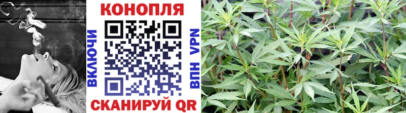 наркотики  Холм  Канабис SATIVA & INDICA 